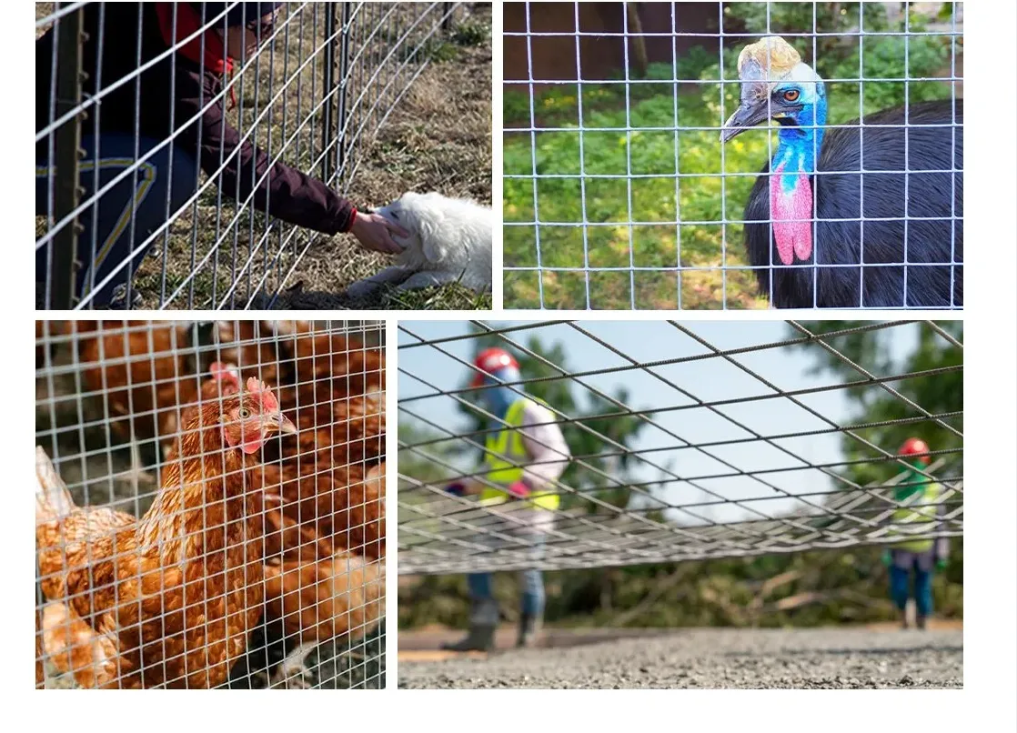 coated expanded metal mesh