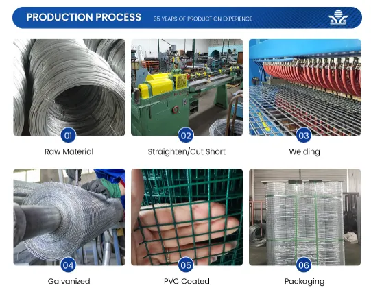 Pvc Coated Welded Wire Mesh Rolls