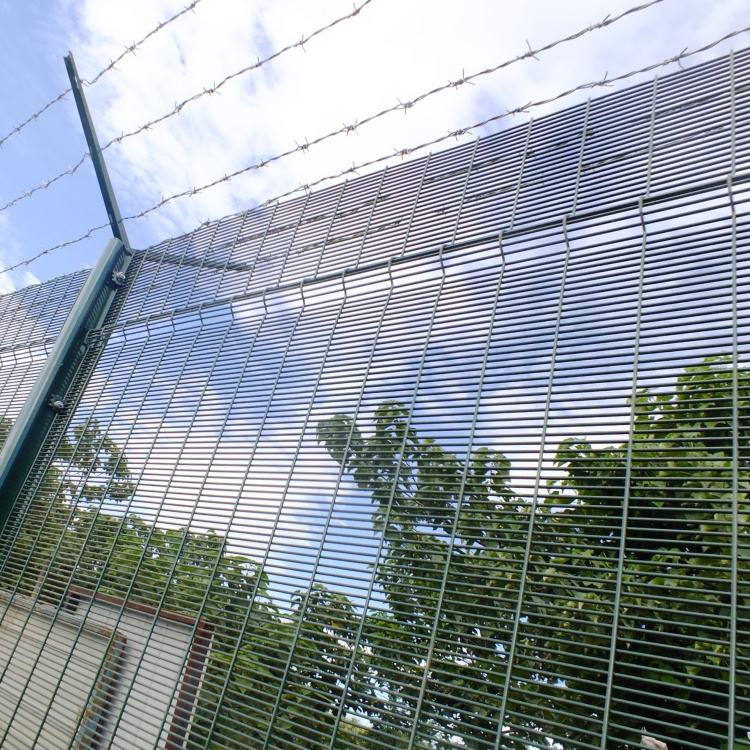 cargo net between trees